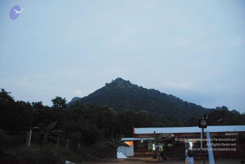 File:2010 PhotoAbum 5662 CMP WM.jpg