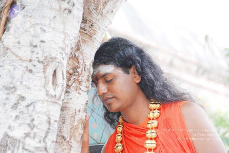 File:2010 PhotoAbum more 5964 CMP WM.jpg