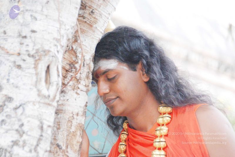 File:2010 PhotoAbum more 5965 CMP WM.jpg