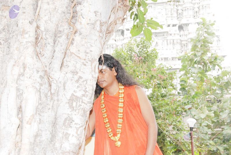 File:2010 PhotoAbum more 5969 CMP WM.jpg