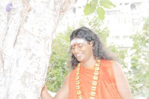 2010 PhotoAbum more 5970 CMP WM.jpg