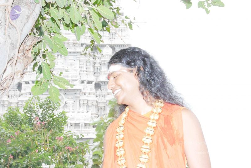 File:2010 PhotoAbum more 5971 CMP WM.jpg