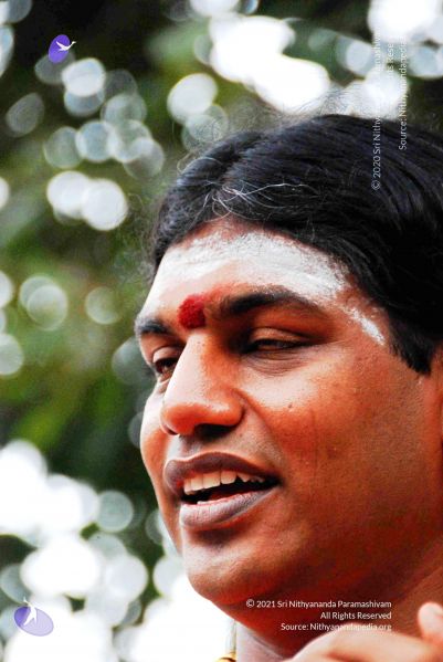 File:2010 PhotoAbum more 5975 CMP WM.jpg