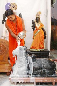 2010 PhotoAlbum Photo 1154 1SDfG wwg4mrx36lrqLWe1wD1Mq6F3FXP.jpg