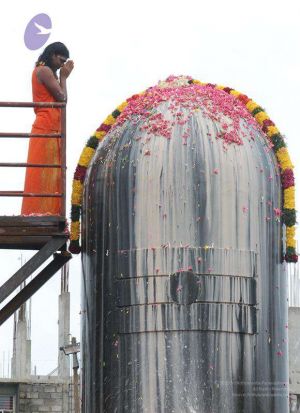 2010 PhotoAlbum Photo 131 1Sr2sPY7TotBifFRc9DGoH2zPigucQhY-.jpg