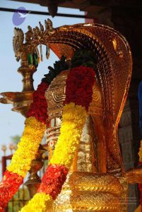 2010 PhotoAlbum Photo 151 1R62I9F1RcI51szMcmwJggMEPuQSufaOw.jpg