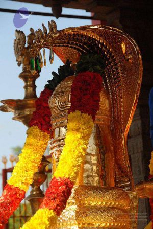 2010 PhotoAlbum Photo 151 1R62I9F1RcI51szMcmwJggMEPuQSufaOw.jpg