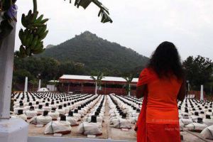 2010 PhotoAlbum Photo 163 1u5Cu9hAqmjwgin2zdfBdP7rg0omTRMuy.jpg