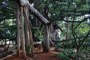 2010 PhotoAlbum Photo 203 15Ft0iD3FyZxvaQ1h3UPN7WJAEdDfCg S.jpg