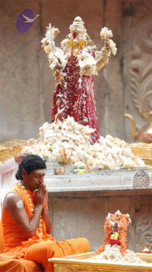 2010 PhotoAlbum Photo 228 1jQ61ksSEOKeH13k Urj37pxjhovvd2m .jpg