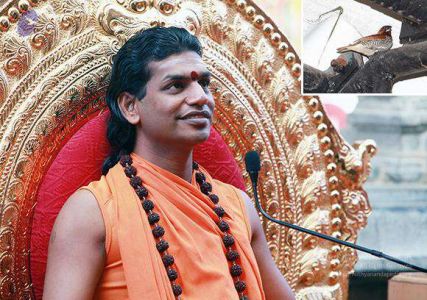 2010 PhotoAlbum Photo 506 1lvpFTJ0jzEPIUOr70IHyxmGxSvVQjhnp.jpg