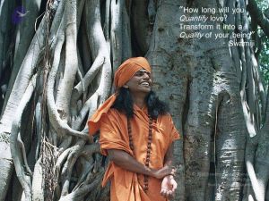 2010 PhotoAlbum Photo 54 1nwETtQCQUeA7SN2pL0FD0g3Nt14jqYWF.jpg