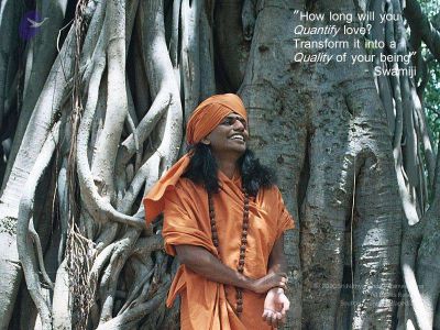 2010 PhotoAlbum Photo 54 1nwETtQCQUeA7SN2pL0FD0g3Nt14jqYWF.jpg