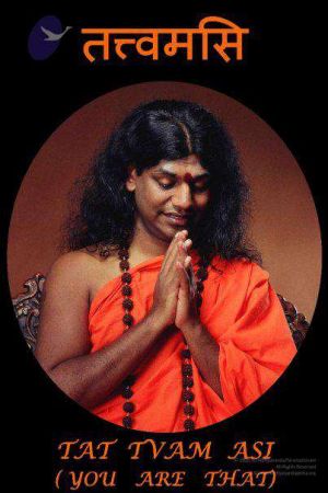 2010 PhotoAlbum Photo 601 1n6UOonji1Vqp DDiZ5kW6de-Lx g1Iz7.jpg