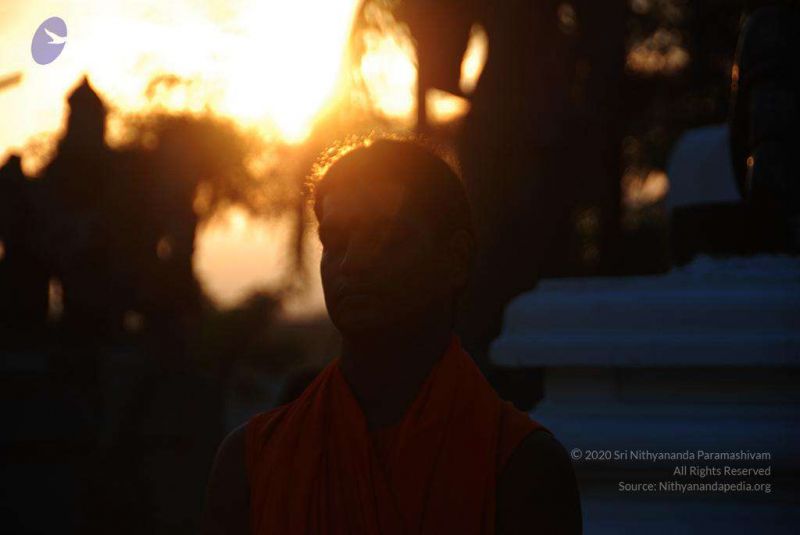 File:2010 PhotoAlbum Photo 710 1e3ObT0v4VpkjbFOTjdIM3ESgJp9LNjy2.jpg