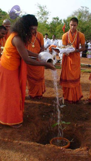 2010 PhotoAlbum Photo 84 1PQtFExiHH7VQAsgFDqL1yWkiwB01rgMt.jpg