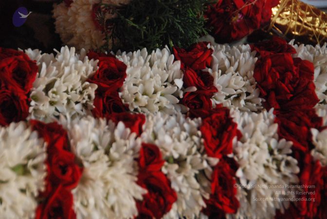 20110101 Photo 1012 1Ye-TAInaHPUrKBhhWXrmxy9KQBvD7F1F.JPG