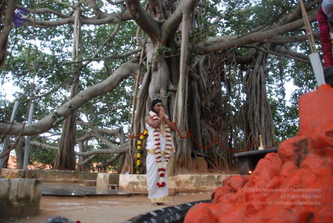 20110101 Photo 1080 1MsUxPtPZ0b0nb2DKZt2asVGMpmrgo8wU.JPG