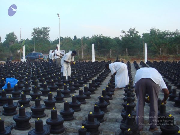 20110115 Photo 1019 11vjo99M0OmUcv6P6-OueAiB3oy3Gwe-a.JPG