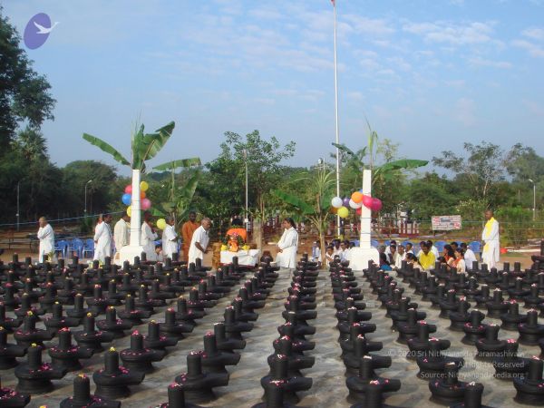 20110115 Photo 1156 1OP0AqwFRk3sSr787DD tByTPpj0mgP3f.JPG