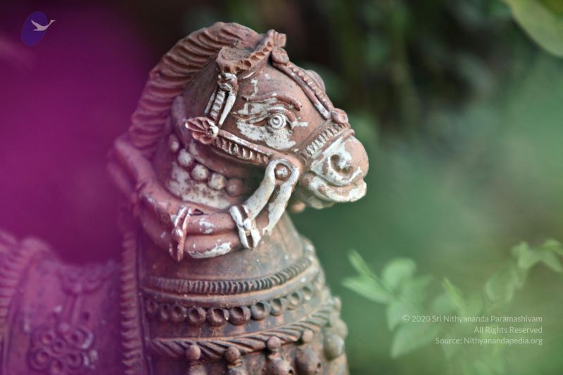 File:20110205 4630 CMP WM watermark.jpg