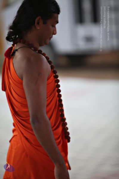 File:20110205 4638 CMP WM watermark.jpg