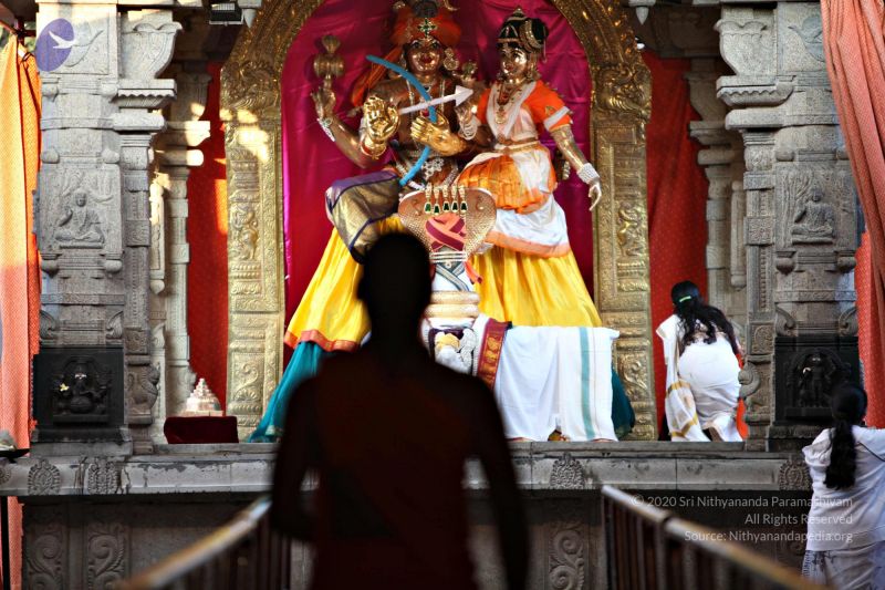 File:20110205 4650 CMP WM watermark.jpg