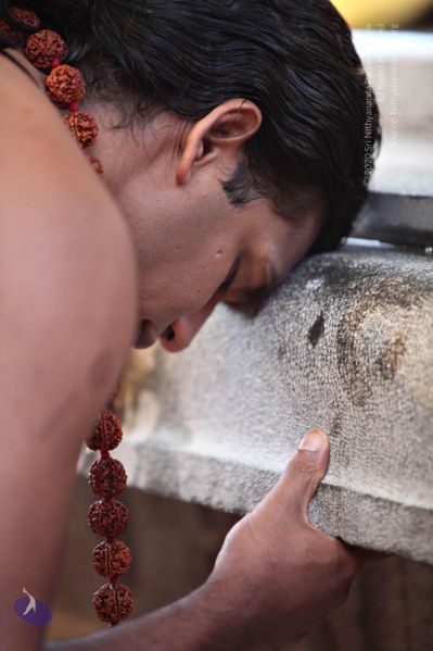 File:20110205 4656 CMP WM watermark.jpg