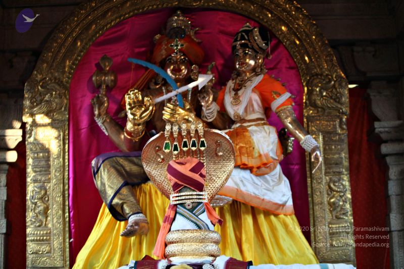 File:20110205 4659 CMP WM watermark.jpg