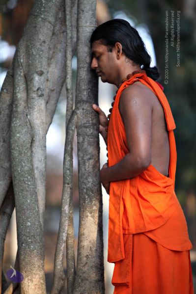 File:20110205 4681 CMP WM watermark.jpg