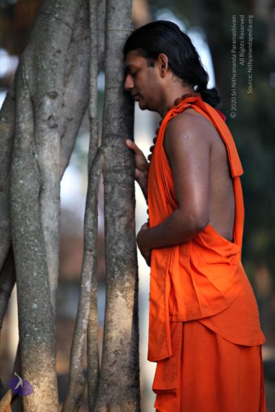 File:20110205 4682 CMP WM watermark.jpg