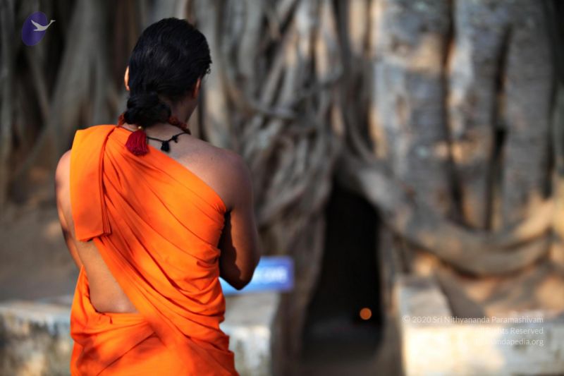 File:20110205 4690 CMP WM watermark.jpg