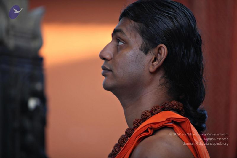 File:20110205 4699 CMP WM watermark.jpg