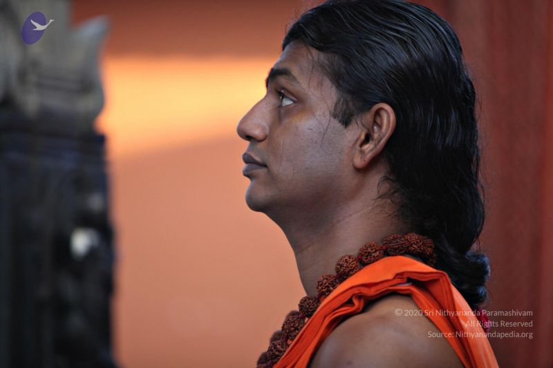 File:20110205 4701 CMP WM watermark.jpg