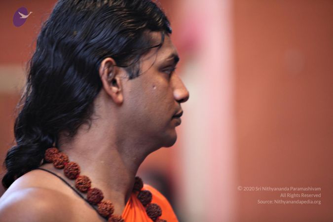 20110205 4704 CMP WM watermark.jpg