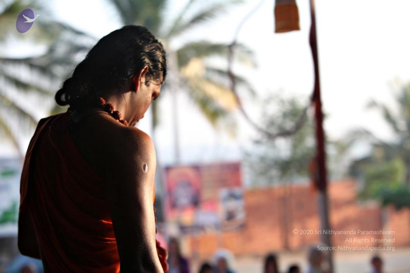 File:20110205 4706 CMP WM watermark.jpg