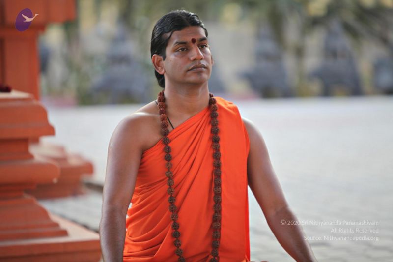 File:20110205 4709 CMP WM watermark.jpg