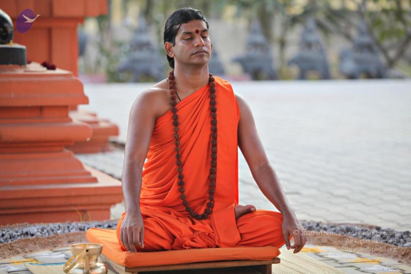 File:20110205 4714 CMP WM watermark.jpg