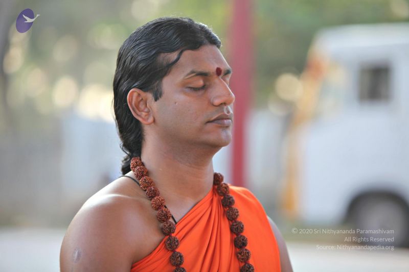 File:20110205 4733 CMP WM watermark.jpg