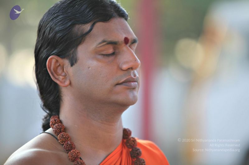 File:20110205 4735 CMP WM watermark.jpg