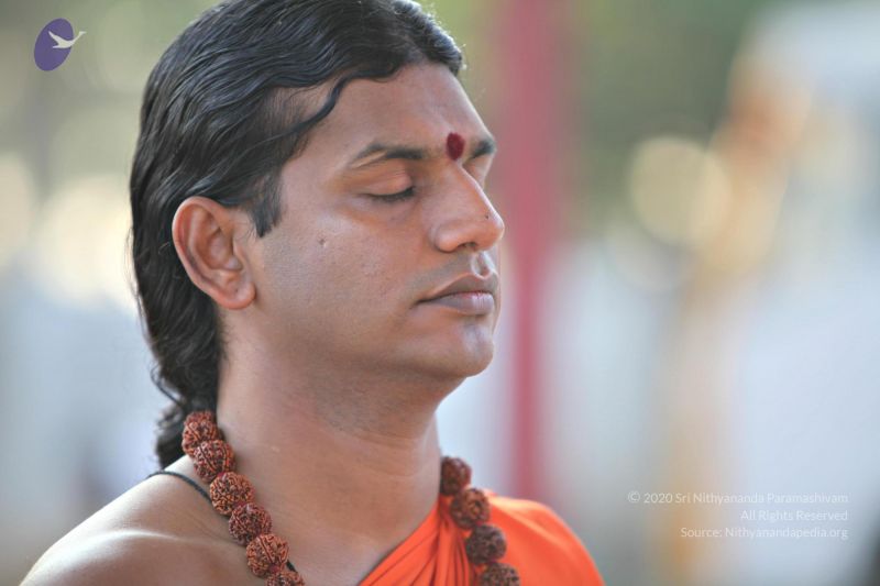 File:20110205 4736 CMP WM watermark.jpg