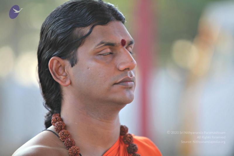 File:20110205 4737 CMP WM watermark.jpg