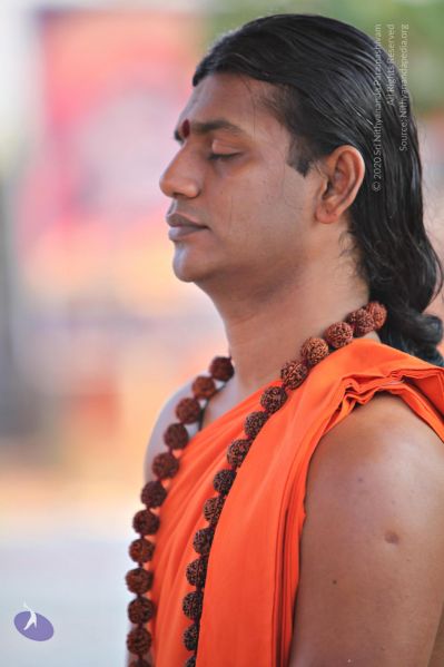 File:20110205 4786 CMP WM watermark.jpg