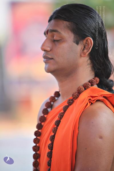 File:20110205 4787 CMP WM watermark.jpg