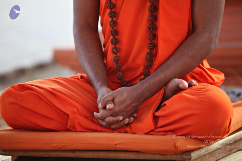 File:20110205 4809 CMP WM watermark.jpg