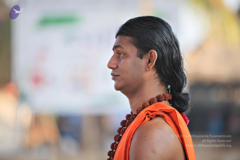 File:20110205 4827 CMP WM watermark.jpg