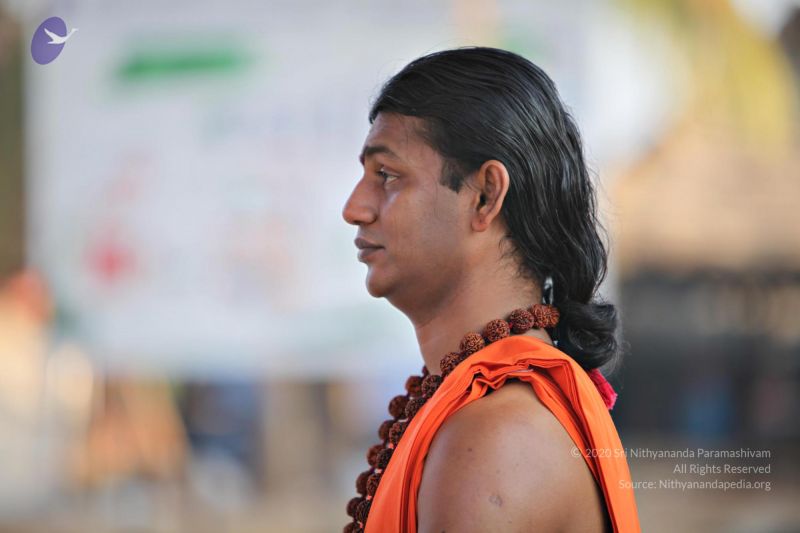 File:20110205 4828 CMP WM watermark.jpg