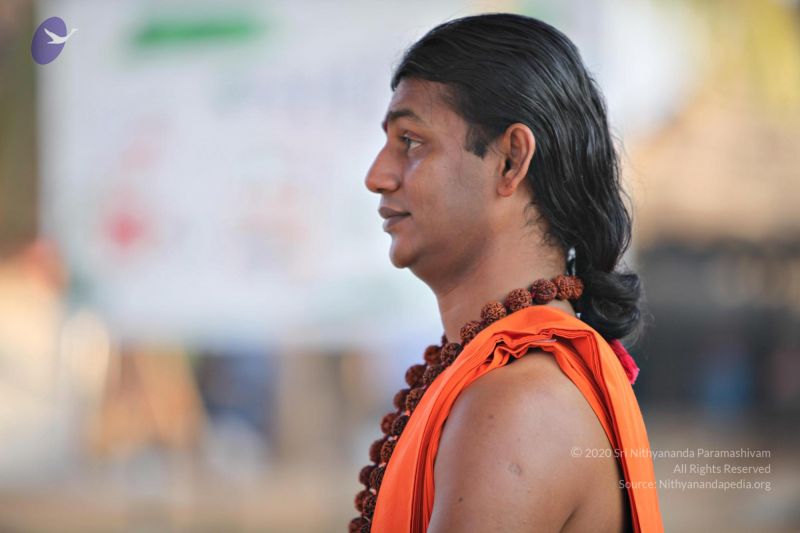 File:20110205 4838 CMP WM watermark.jpg