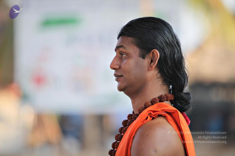 File:20110205 4839 CMP WM watermark.jpg