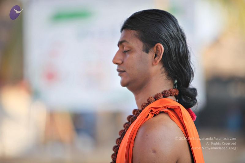 File:20110205 4845 CMP WM watermark.jpg